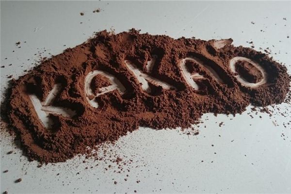 Dreaming of cocoa powder and cocoa drinks
