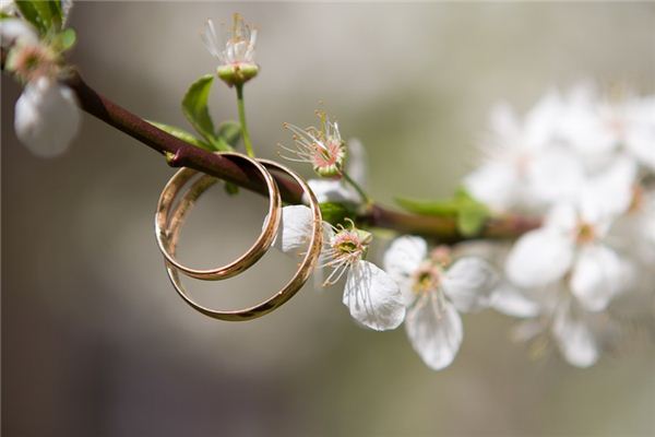 What does it mean to dream of a circle? What does it mean to dream of a circle?