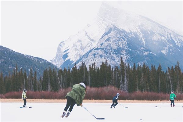 What does it mean to dream about hockey?