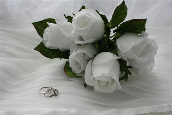Dreaming of artificial flowers Dreaming of artificial flowers