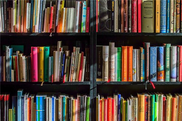 What does it mean to dream about novels? What does it mean to dream about novels?