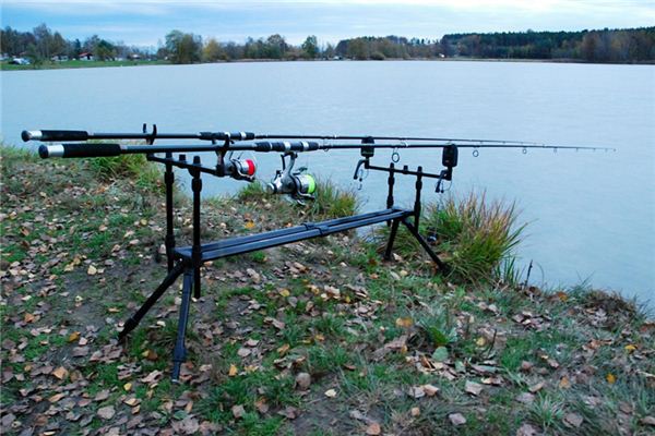 What does it mean to dream of a fishing rod? What does it mean to dream of a fishing rod?