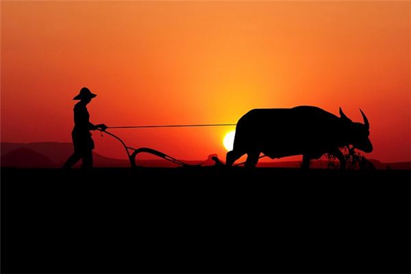What does it mean to dream of a plow? What does it mean to dream of a plow?