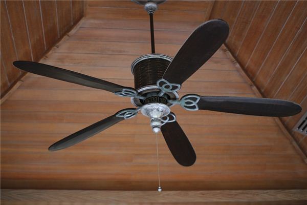 What does it mean to dream of a fan? What does it mean to dream of a fan?