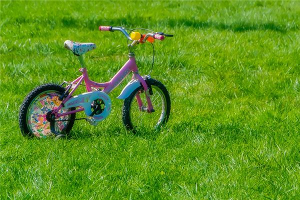 What does it mean to dream of a bicycle? What does it mean to dream of a bicycle?