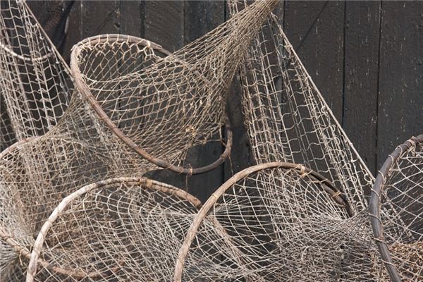 What does it mean to dream of fishing nets? What does it mean to dream of fishing nets?