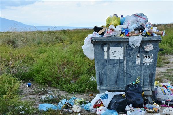 What does it mean to dream about garbage? What does it mean to dream about garbage?