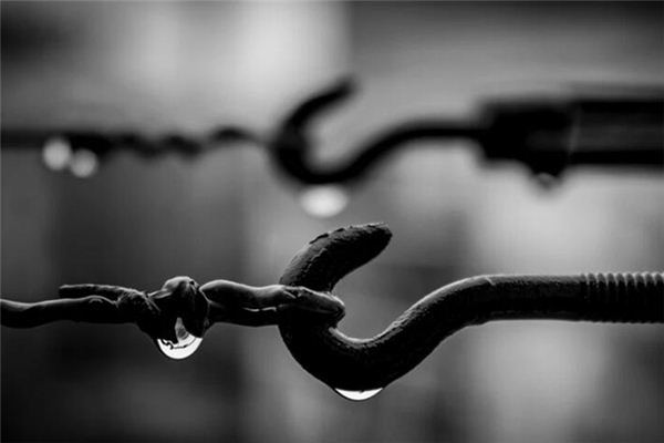 What does it mean to dream of a fire hook? What does it mean to dream of a fire hook?