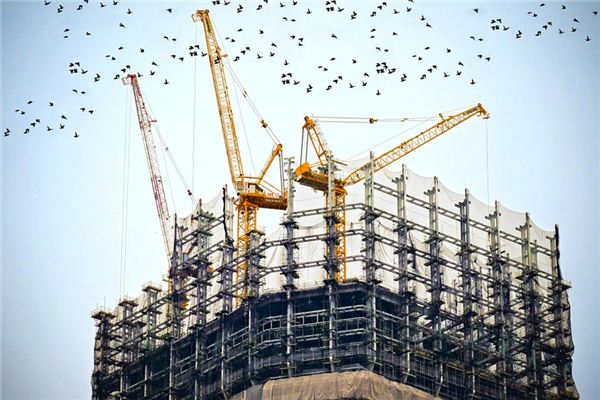 What does it mean to dream of a crane? What does it mean to dream of a crane?