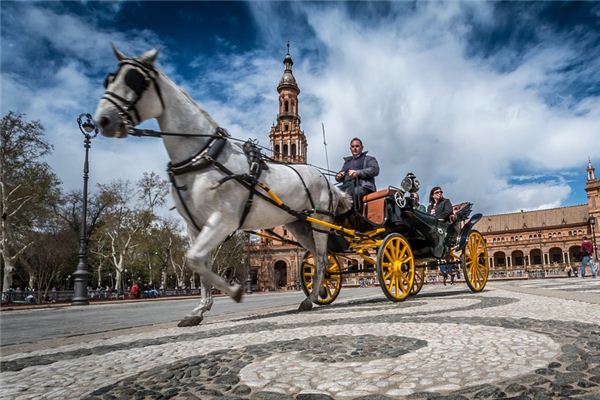 Dreaming of a four-wheeled carriage