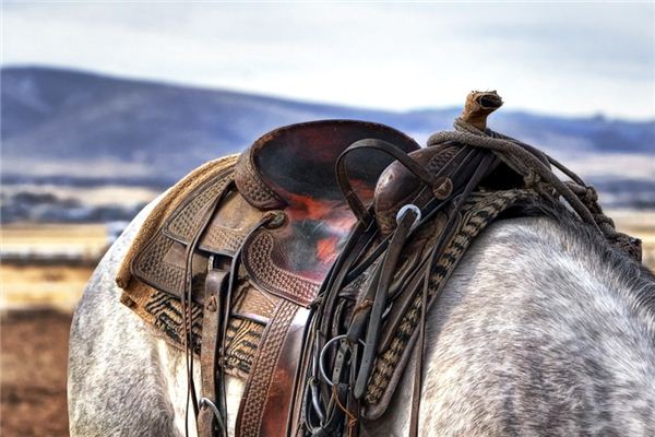 What does it mean to dream of a saddle? What does it mean to dream of a saddle?