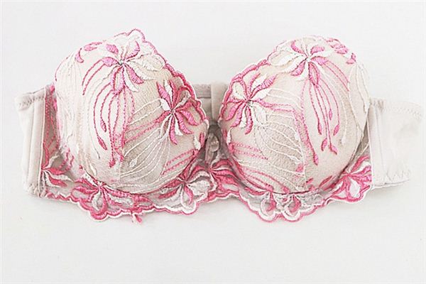 What does it mean to dream about a bra? What does it mean to dream about a bra?
