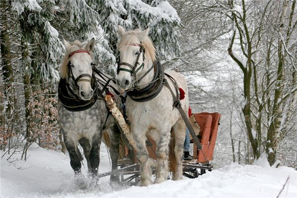 What does it mean to dream of a horse's bridle?