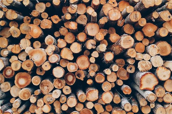What does it mean to dream of a bundle of firewood? What does it mean to dream of a bundle of firewood?
