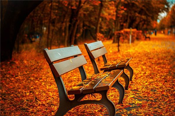 What does it mean to dream of a long bench? What does it mean to dream of a long bench?