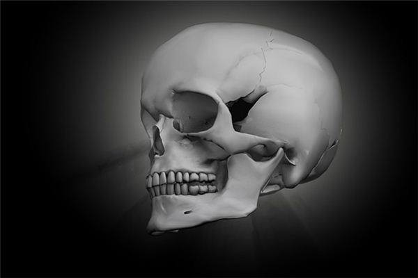 What does it mean to dream of a corpse? What does it mean to dream of a corpse?