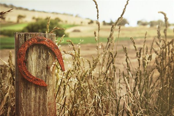What does it mean to dream of horseshoes? What does it mean to dream of horseshoes?