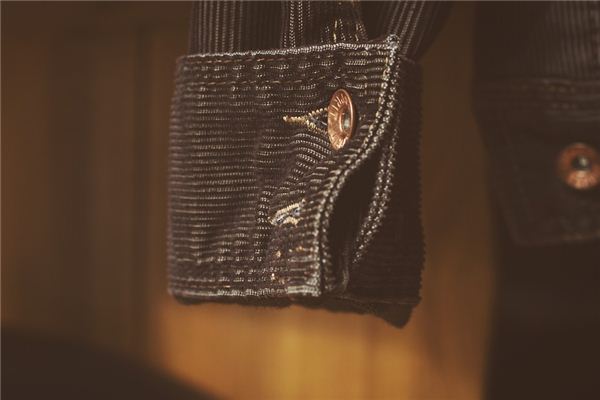 What does it mean to dream about sleeves?