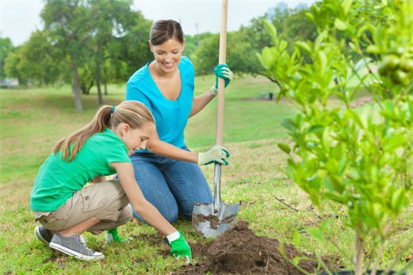 Dreaming of planting trees