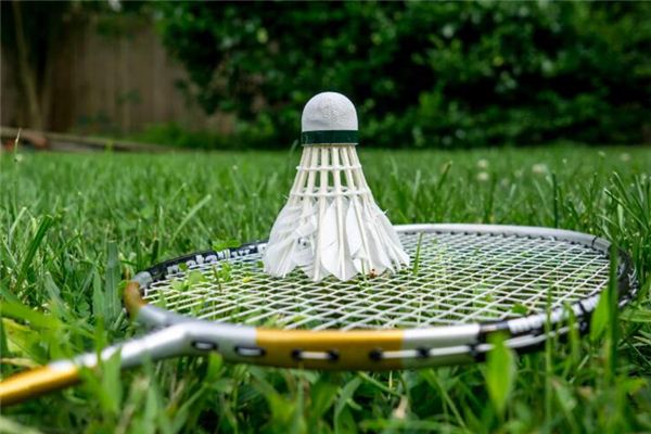 What does it mean to dream of playing badminton? What does it mean to dream of playing badminton?