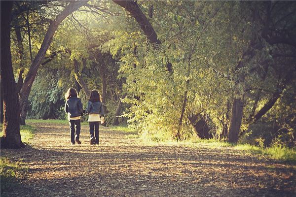 What does it mean to dream of taking a walk? What does it mean to dream of taking a walk?