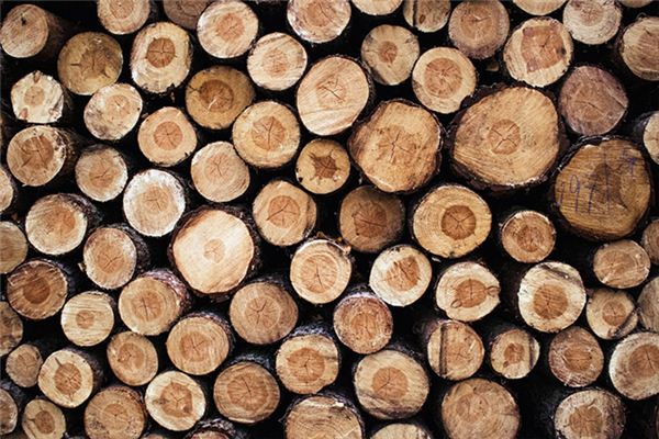 What does it mean to dream of transporting wood? What does it mean to dream of transporting wood?