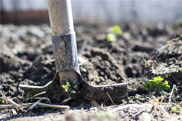 What does it mean to dream of digging? What does it mean to dream of digging?