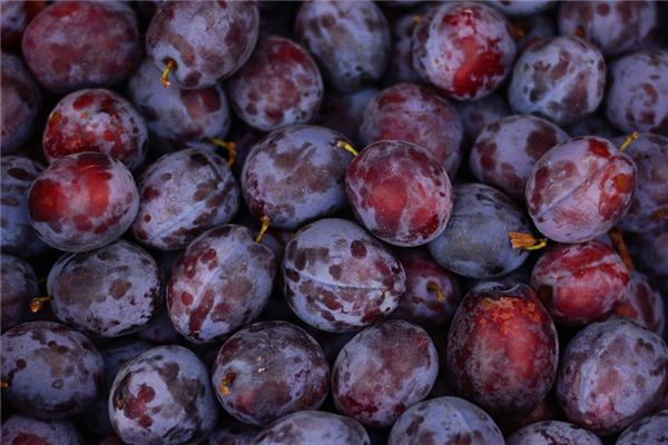 What does it mean to dream of washing plums? What does it mean to dream of washing plums?