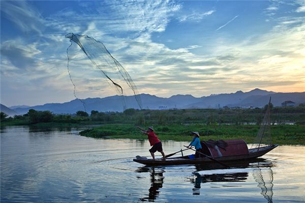 What does it mean to dream of catching fish by casting a net? What does it mean to dream of catching fish by casting a net?