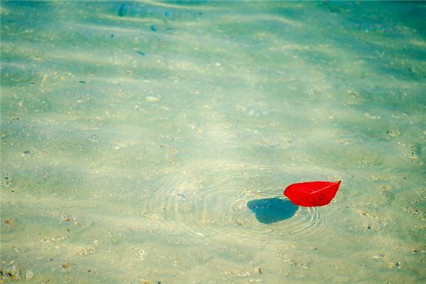 What does it mean to dream of floating on water? What does it mean to dream of floating on water?