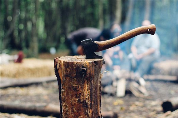 What does it mean to dream of chopping wood? What does it mean to dream of chopping wood?