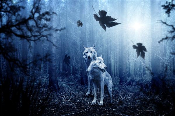 What does it mean to dream of fighting wolves? What does it mean to dream of fighting wolves?
