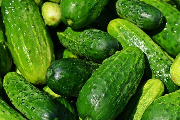 What does it mean to dream of picking cucumbers? What does it mean to dream of picking cucumbers?