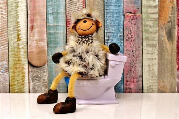 I dreamed that I was pooping