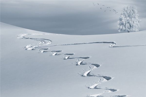 What does it mean to dream of sweeping snow? What does it mean to dream of sweeping snow?