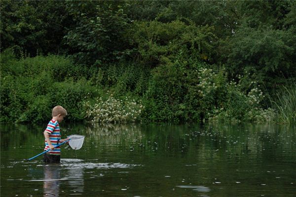 What does it mean to dream of catching fish? What does it mean to dream of catching fish?