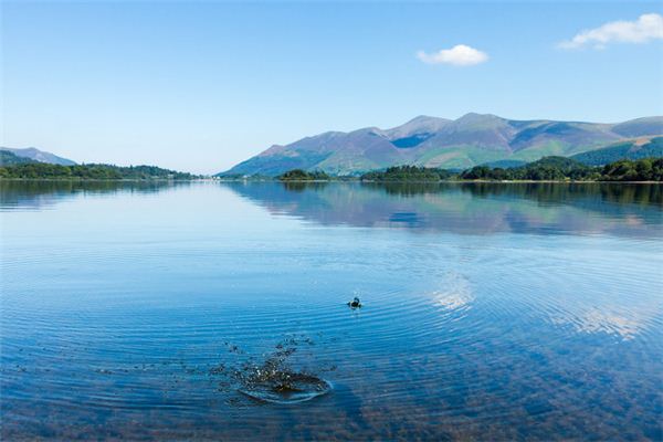 I dreamed of gazing at a calm body of water.