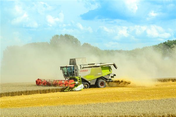 What does it mean to dream of harvesting? What does it mean to dream of harvesting?