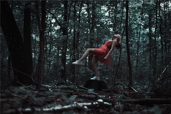 I dreamed of flying over the mountains and forests like a bird.