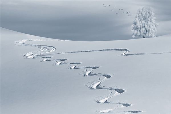 What does it mean to dream of being followed? What does it mean to dream of being followed?