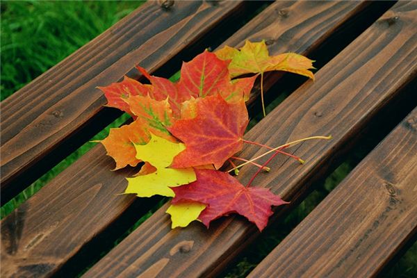 What does it mean to dream of sweeping fallen leaves? What does it mean to dream of sweeping fallen leaves?