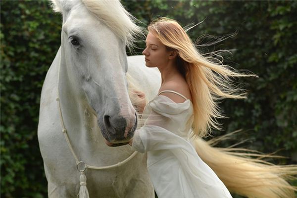 What does it mean to dream of combing a horse's hair? What does it mean to dream of combing a horse's hair?