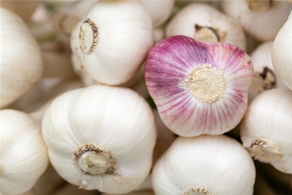 What does it mean to dream of planting garlic? What does it mean to dream of planting garlic?