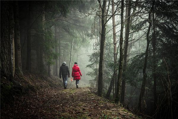 What does it mean to dream of walking? What does it mean to dream of walking?
