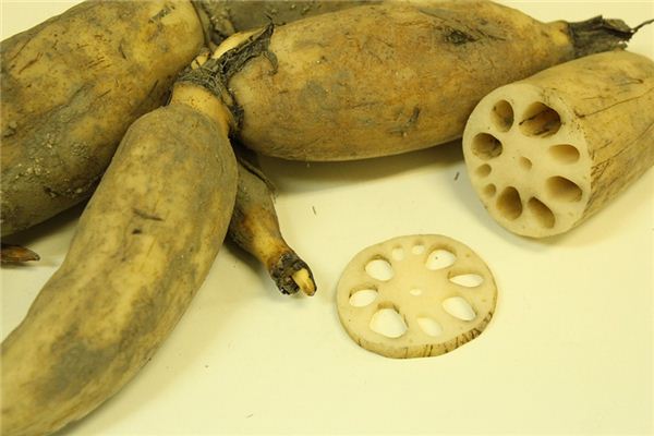What does it mean to dream of digging lotus roots? What does it mean to dream of digging lotus roots?