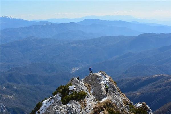 I dreamed of rising up into a tree, climbing a mountain, and boarding an airplane.