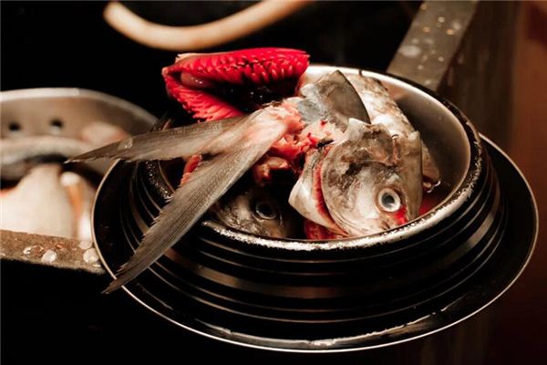 What does it mean to dream of killing fish? What does it mean to dream of killing fish?