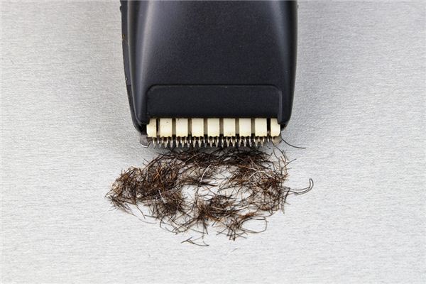 What does it mean to dream of shaving? What does it mean to dream of shaving?