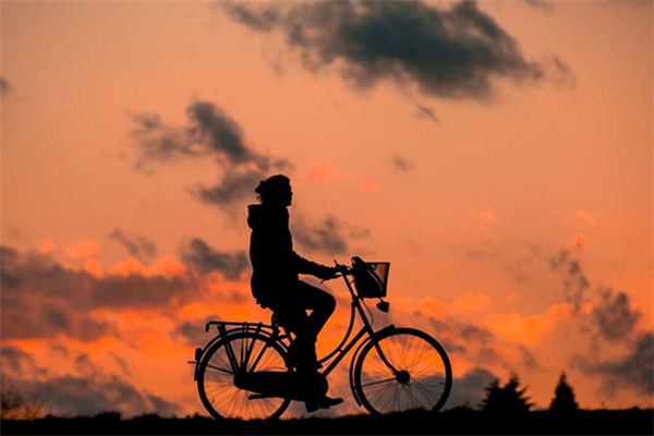 What does it mean to dream of looking for a bicycle? What does it mean to dream of looking for a bicycle?