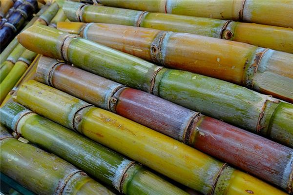 What does it mean to dream of stealing sugarcane? What does it mean to dream of stealing sugarcane?